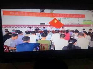 洋县新闻事件爆料,揭秘背后真相与影响  第1张